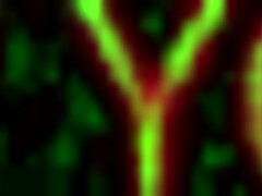 Entering circus with thick animatronics in five nights featuring Gumi