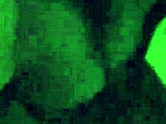 Sandy Cortez Sucks Outdoors