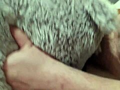 In this story, he fucks a teddy bear passionately