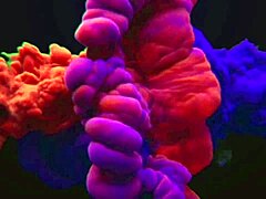 Uber Sex Route Madureira Birthday Mission For F. Francesco