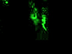 vintage erotic drawings bring back sexy old vibes