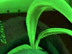 Street Fighter 6 Cammy Hentai in Wild 3D!