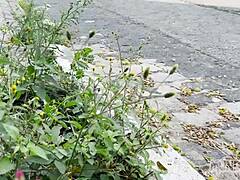 Riding The Motorcycle And My Friend's Big Cock In This Intriguing Scene