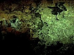 Ever seen such steamy vintage erotic art?