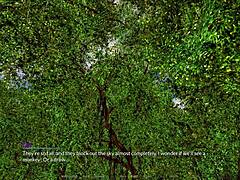 Harem Hotel 226 Gameplay