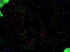 Latina Tattoo Babe Gives Amazing Blowjob So Good