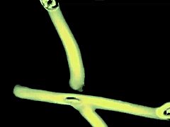 becky’s shocked by judy but still bangs her husband. full scene on myfostertapes site!