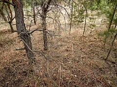 Amateur couple enjoys outdoor sex and facial reward