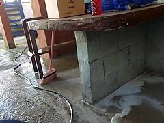 Maid Grabs My Cock Hard!