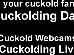 it's fun humiliating cuckold bitches like you