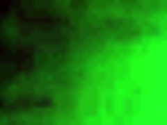 I love sucking my king's huge cock and getting a creampie in my hairy pussy!