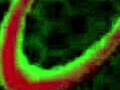 horny hotties racheal and summer share rome's big black cock 😍