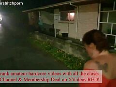 देखो यह ब्रेज़न कीवी बिच पब्लिकली पिस्ड ऑन हो रही है जबकि मोटरिस्ट शाउट आउट कर रहे हैं।