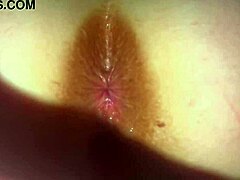 Hey, wanna watch this amateur holiday fuck with big titty MILF?