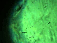 Here's More of My Cum, Enough to Get You Pregnant