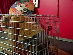 Scott Rhodes Cums on Maxine X's Lips After Hard Fuck.