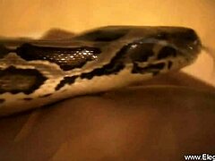 dancing in erotic vibes with my asian girlfrend