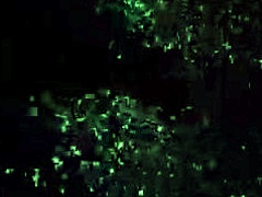 Mistress Trains Beta