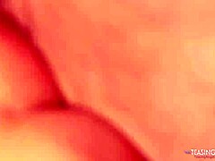 busty brunette hottie wants to taste his stiff shaft