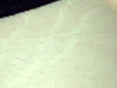 Black bull dominates ravishing ray in the car