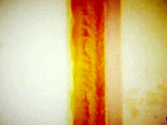 august skye deepthroats black cock and rides it hard