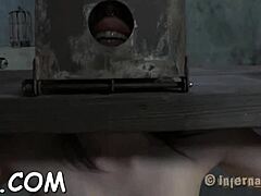 Cunning Maid Uses Sex-Toy On Her Pussy! So Hot!