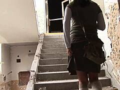 the young explorer discovers new adventures with friends and partners