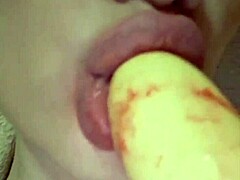 Elzakom's Pretty Lingerie and Toy Play