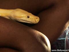 She enjoys the seduction as mature milf undressing with striptease seduction brunette clothes ripped amateurs.