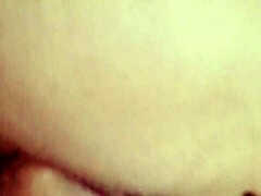 sundaydogood614 update 870 vid 20250322 134221 mar 22 2025