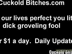 i would never fuck a useless loser like you