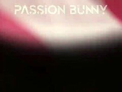 i need help choosing panties, can you pick for me?