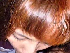 Latina Wife Sucks Before Anal Fuck