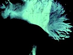 Dark Lantern Entertainment presents at home with from my secret life, the erotic confessions of a victorian english gentleman?