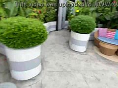 Horny Kaden Kole Rides Rome Major's Massive Black Cock with Deepthroat and Cumshot