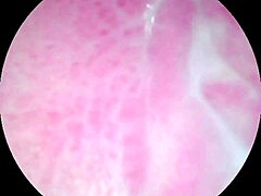 the camera explores my creamy juicy pussy with dildo until i cum hard