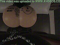 The lonely puppy finally finds a new owner and a warm home to stay in