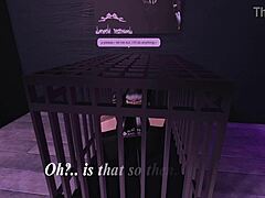 The lonely puppy finally finds a new owner and a warm home to stay in