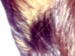 I, uh, gave creampie to my sister-in-law, part 2, ya know!