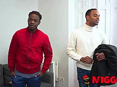 naughty latina screams for black cocks in first time interracial with daniela nerea