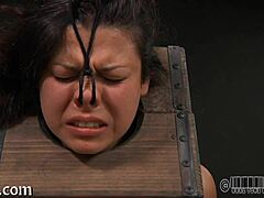 Girl strips inside cage