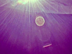 ओह गॉश, मैं यह 38 साल की शादीशुदा महिला हूं, पतली एशियन फिगर, छुट्टी पर सुबह-सुबह कार सेक्स कर रही हूं मेरे मैच्योर जापानी ब्राइड वाइब के साथ...