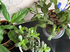 real homemade video of a married couple spending intimate time together