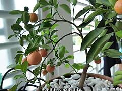 My roomie with big ass models for me.