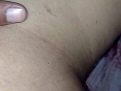 brazilian shemale client exchange