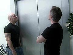 austin kincaid and brooke haven take dick together