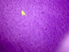 Girlfriend Kia gets tight massage from tattooed friend.