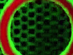 Exploring Intimate Pleasures With A Beautiful Partner