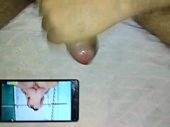 Indian Cock Video From December 12 2017