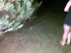 Wild Roadside Encounter After Party.